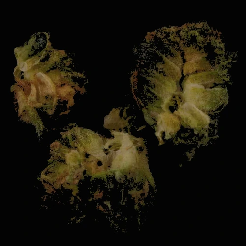 ADB-BUTINACA; THC; CBD; CBG tabletta