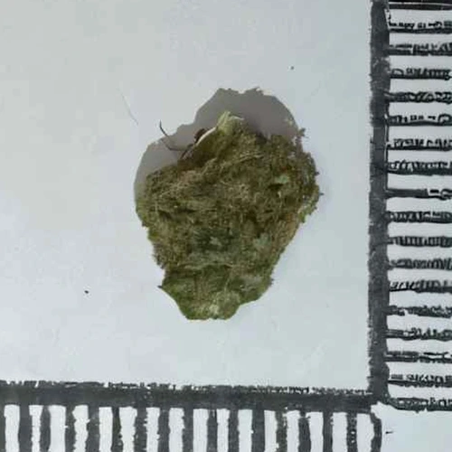Piolla MDMB-4en-PINACA; CBD — 2