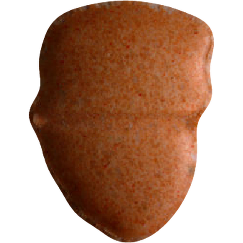 Trump-Pille — 2