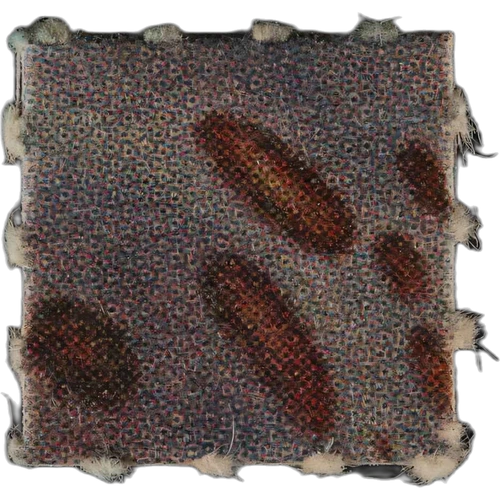 LSD (198µg); iso-LSD (166µg) pill — 2