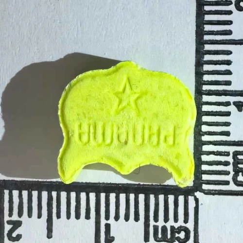Comprimé Panama, Owl — 2