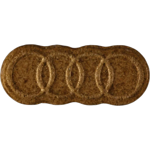Audi hapı