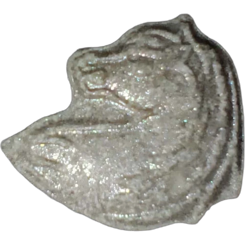 Таблетка Pegasus