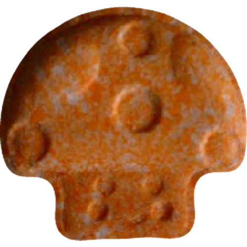 Pastilă Mushroom — 2