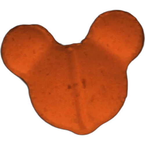 Pillola Mickey Mouse — 2
