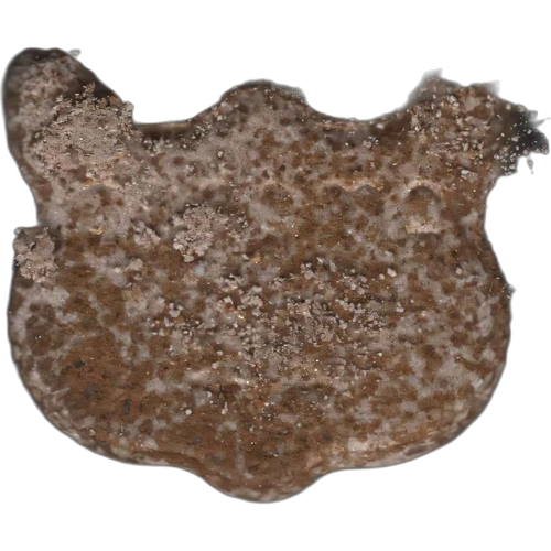 Pillola Owl — 2