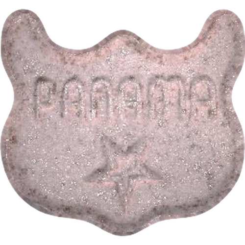 Owl, Panama, Star-Pille