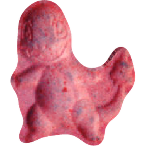 Pillola Pokemon, Charmander