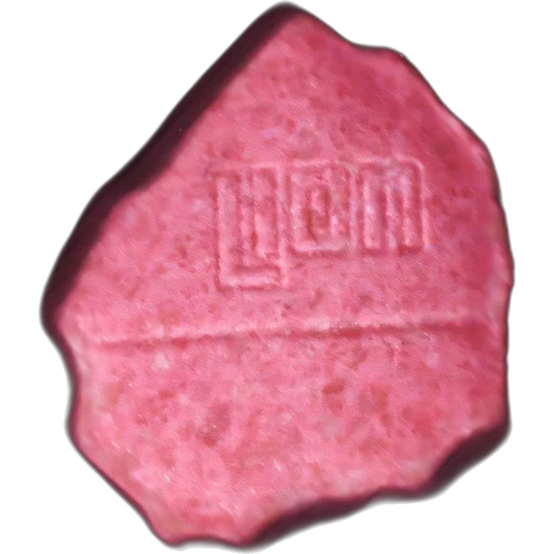 Tableta Leon — 2