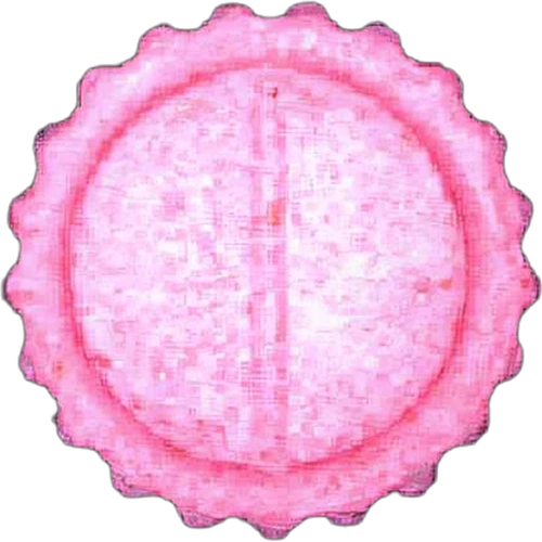 Pillola Rolex — 2