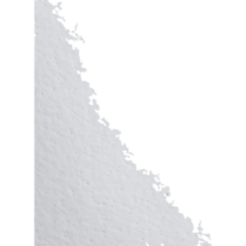 Pastilla Logo Cerise — 2
