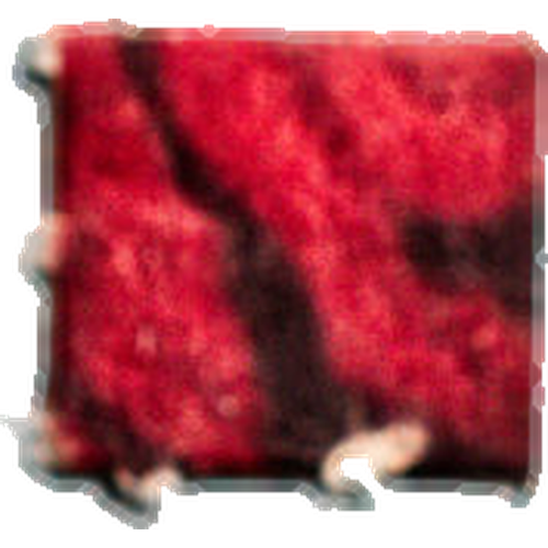 Pillola LSD (21µg)
