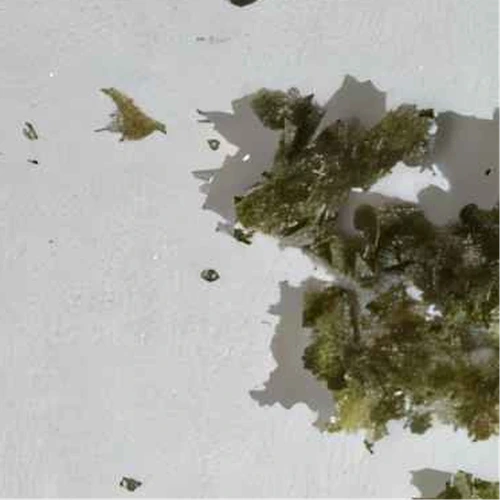 Pillola HHC; THC (<0.2%) — 2