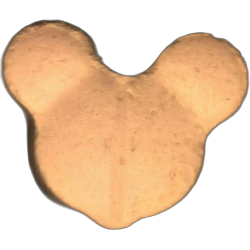 Piolla Mickey Mouse — 2