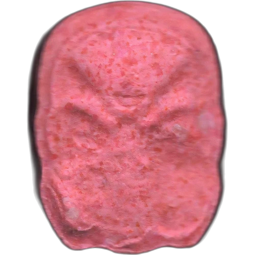 Pastilla Gas Mask
