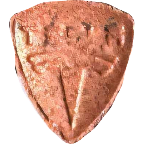 Tesla pill