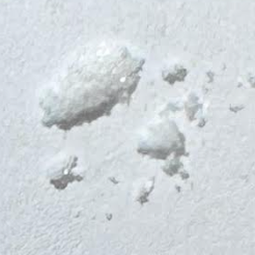 Procaine (98%)-Pille