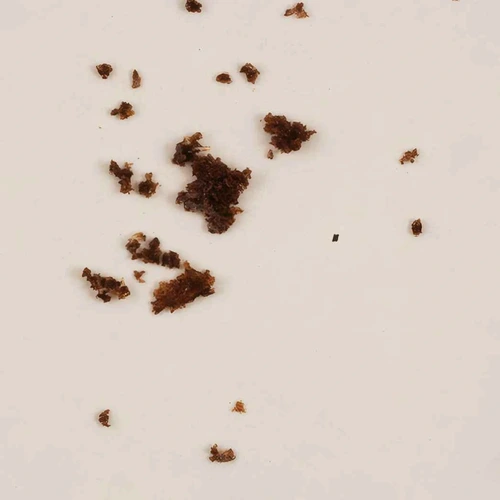 Heroin (0.3%); Caffeine (37%); Paracetamol (31%); Noscapine (8%); 6-MAM (1,5%); Papaverine (0.2%); Acetylcodeine (0.3%); Morphine (0.3%)-pille