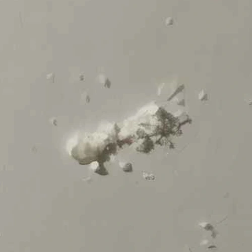 גלולת Amphetamine (92%)