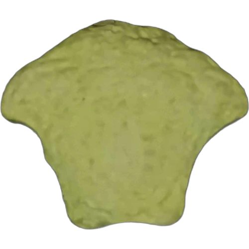 Piolla Versace