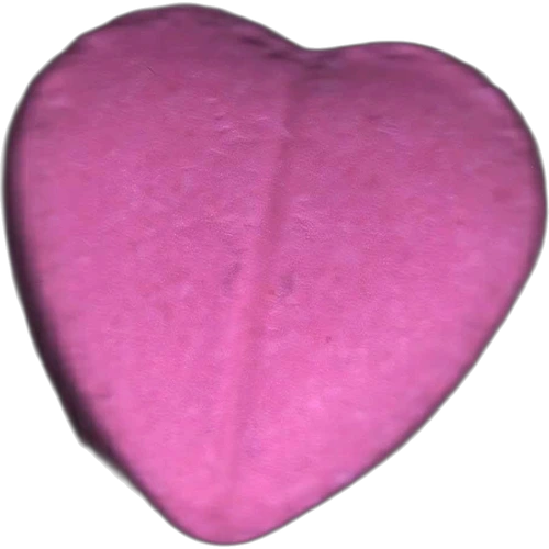 Heart-pilleri — 2