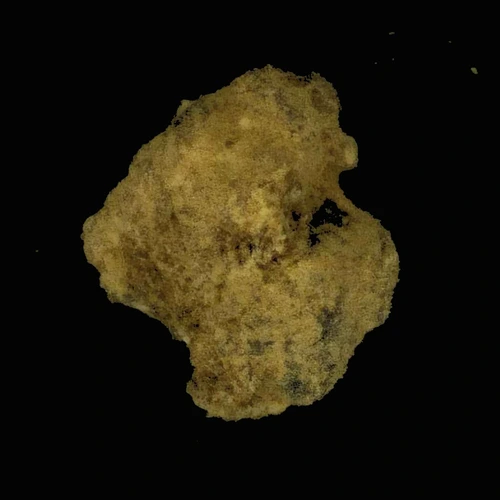 Comprimé Heroin (55%); Noscapine (32%); Acetylcodeine (3%); 6-MAM (2,1%); Papaverine (1%); Unknown