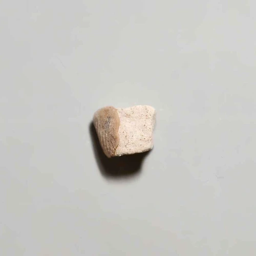 Pastilla Paracetamol (67%); Caffeine (31%)
