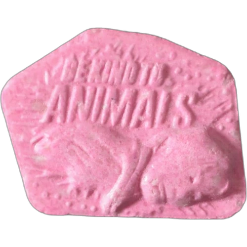 Tableta Xanax — MDMA — Geneva, Švýcarsko