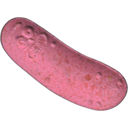 Таблетка Pickle Rick — MDMA (199mg) — Madrid, Spain