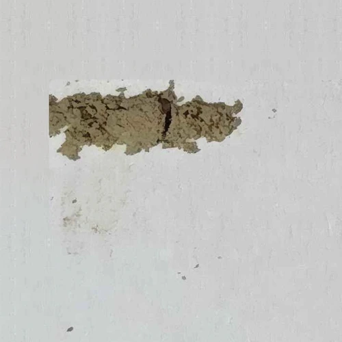 Fentanil (3.4%); Caffeine (27%); Paracetamol (61%) — Ljubljana, Slovenia
