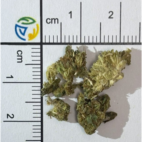 MDMB-4en-PINACA; CBD — Ljubljana, Pivka, Slovenia
