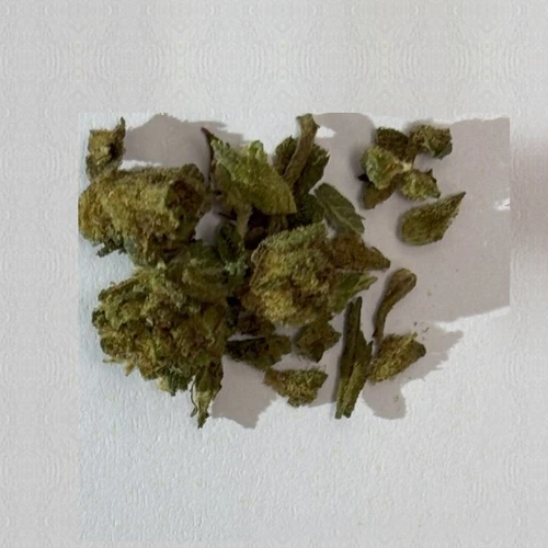 MDMB-4en-PINACA; CBD — Ljubljana, Slovenia