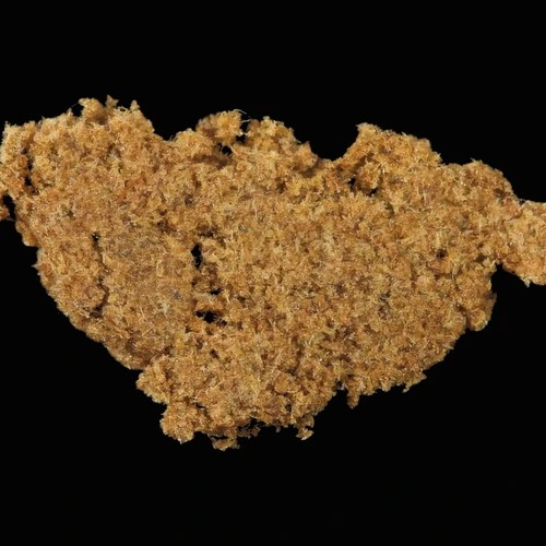 THC {'value': '13.0%', 'unit': '', 'isTraceAmount': False}; CBD {'value': '3.8%', 'unit': '', 'isTraceAmount': False} — Zürich, Schweiz