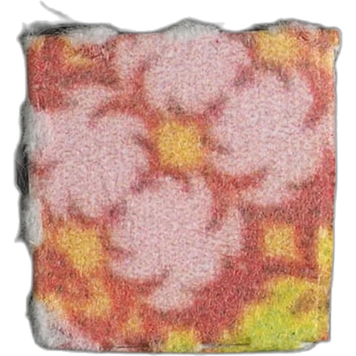 LSD — Bern, Ελβετία