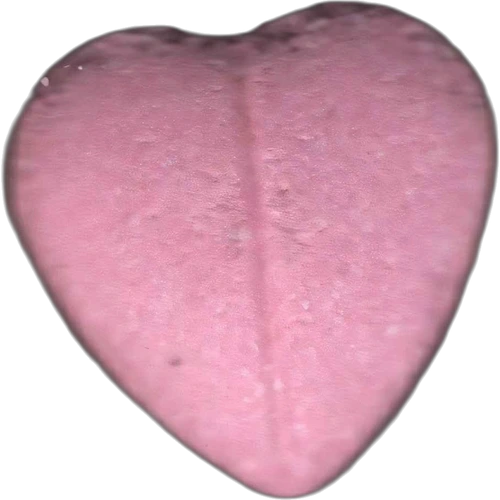 Tableta Heart — 2