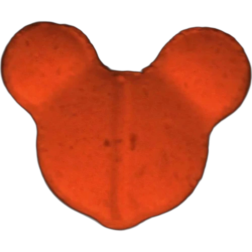 Tabletka Mickey Mouse — 2