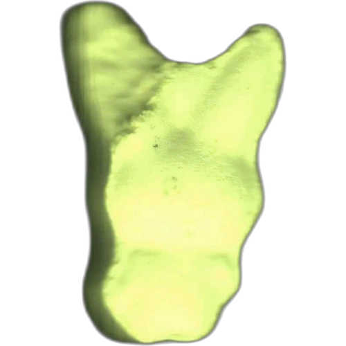 Piolla Pikachu — 2