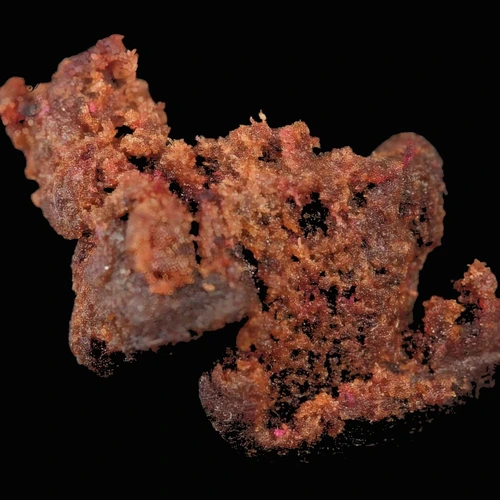 THC {'value': '23.0%', 'unit': '', 'isTraceAmount': False}; CBD {'value': '0.4%', 'unit': '', 'isTraceAmount': False} — Zürich, سويسرا