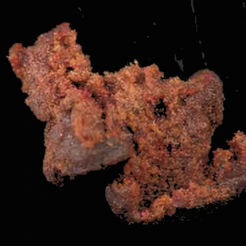 Delta-8-THC; THC (23%); CBD (0.4%) — Zürich, Schweiz