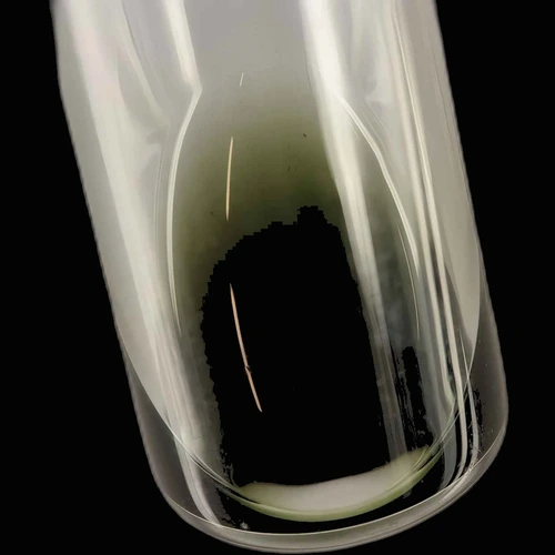 Psilocin; 4-acetoxy-DMT {'value': None, 'unit': None, 'isTraceAmount': False} — Zürich, Schweiz