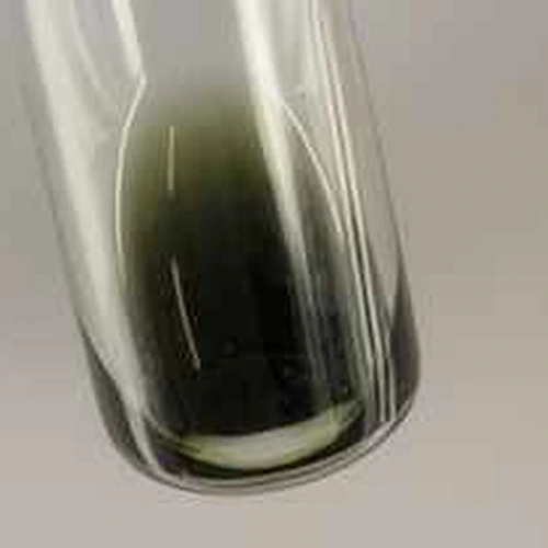 4-AcO-DMT; Psilocin — Schweiz