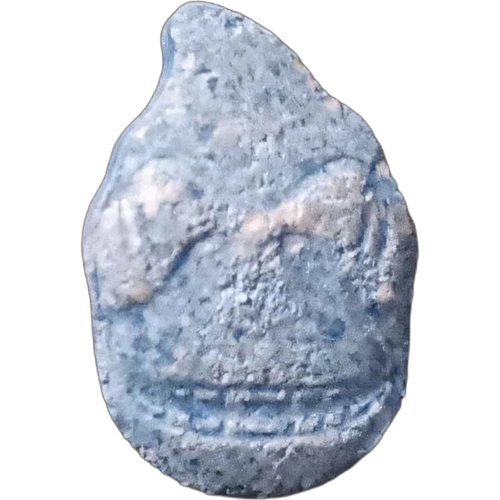 Donkey Kong hapı — MDMA (119mg) — Cádiz, İspanya
