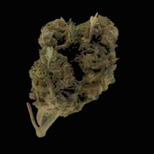 MDMB-4en-PINACA; THC; CBD — Šveicarija