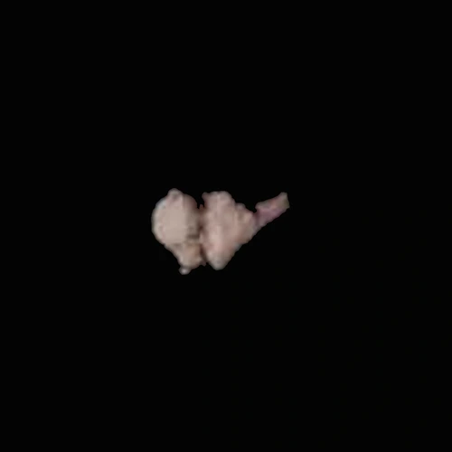 Cocaine — Switzerland
