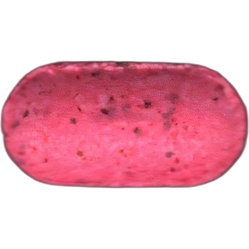 Unknown pill — MDMA (24µg); Ketamine; LSD (113µg) — Burgos, Spain
