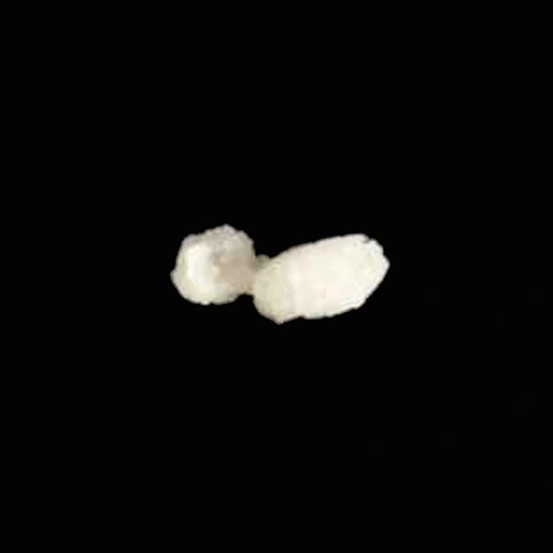2-MMC — Schweiz