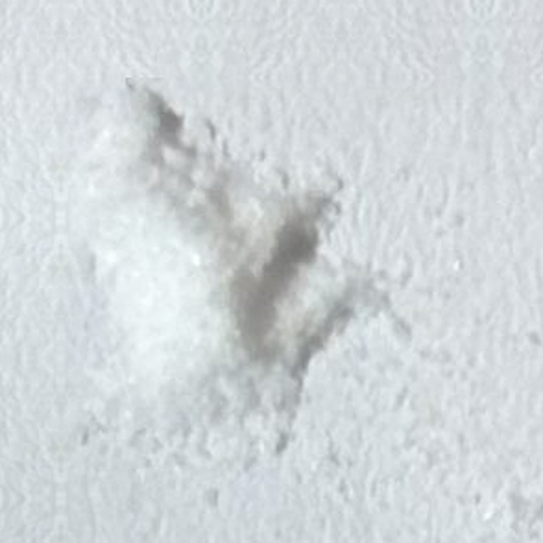 Sodium bicarbonate — Koper, Slovénie