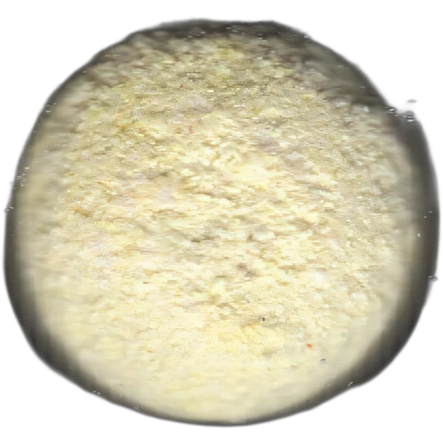No Logo-pille — 2C-B (11mg) — Barcelona, Spanien