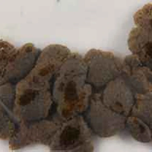 Delta-8-THC; THC; CBD — Šveicarija