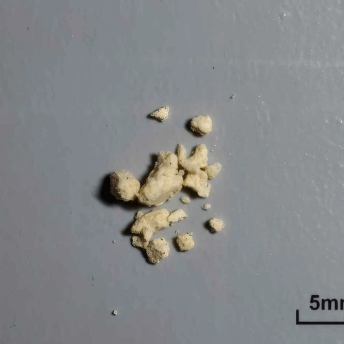Amphetamine (54%) — Marseille, France